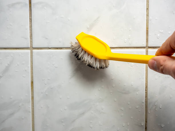 Professional Mold Remediation in St Joseph, IL